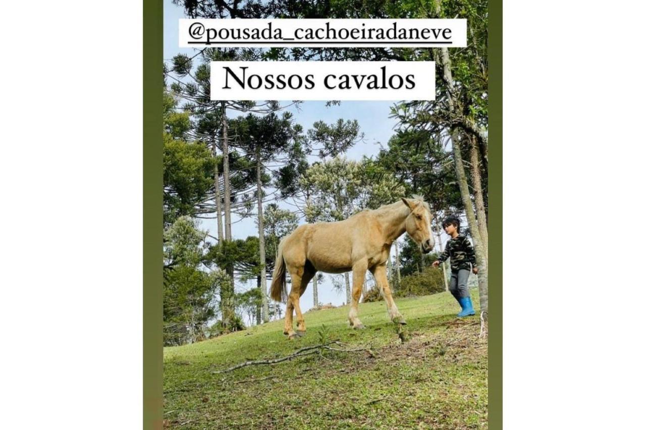 Floresta Secreta- Pousada Cachoeira Da Neve Urubici Exterior photo